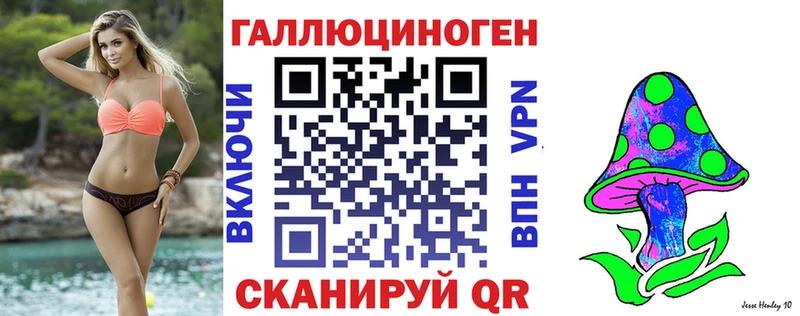 Галлюциногенные грибы GOLDEN TEACHER  купить  цена  ссылка на мегу сайт  Дзержинск 