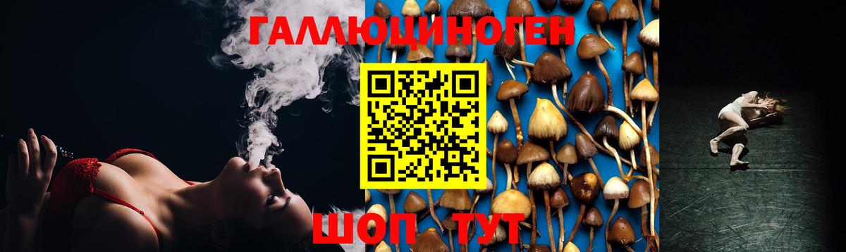 Псилоцибиновые грибы Psilocybine cubensis Дзержинск